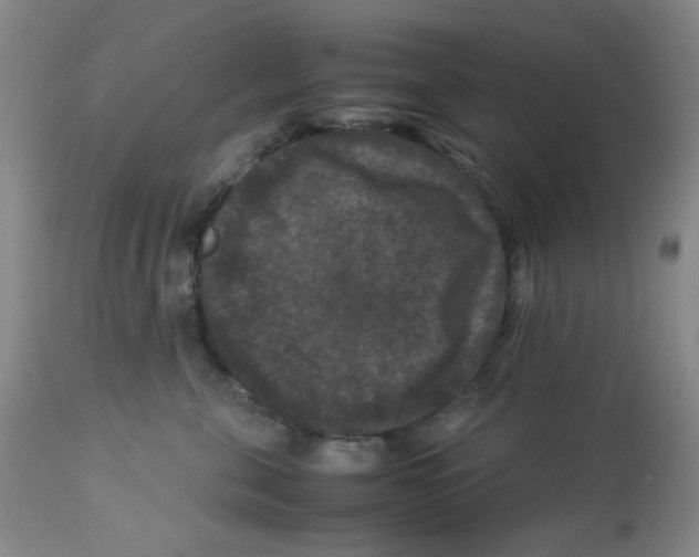 X0000113950571200910232009