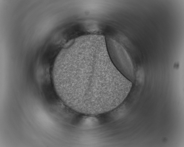 X0000113950572200910232009