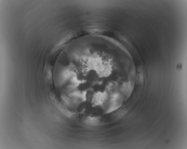 X0000113950573200910232009