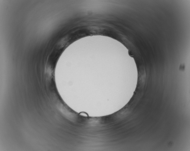 X0000113950574200910232009