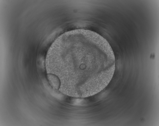 X0000113950575200910232009