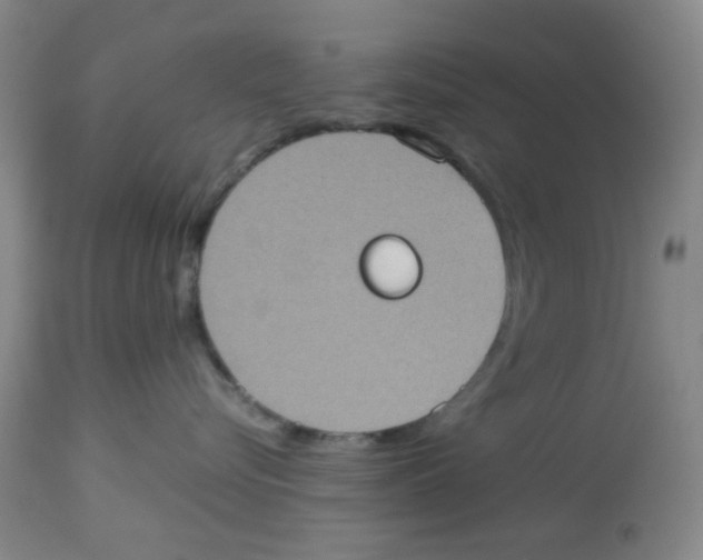 X0000113950576200910232009