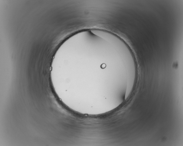 X0000113950577200910232008