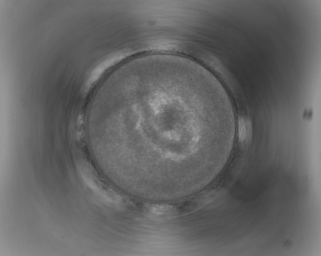 X0000113950579200910232008