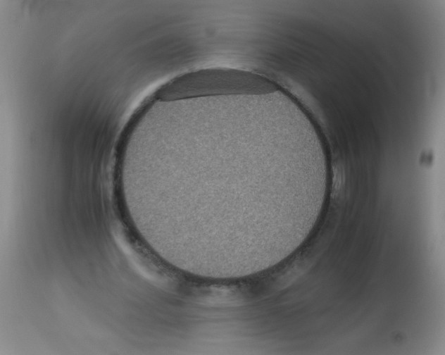 X0000113950580200910232008