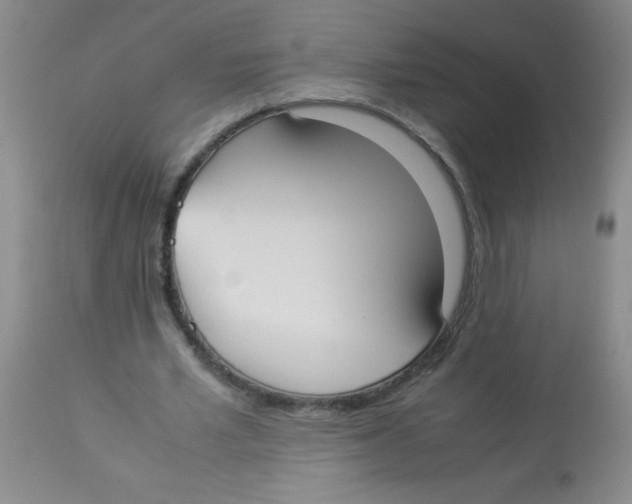 X0000113950581200910232008