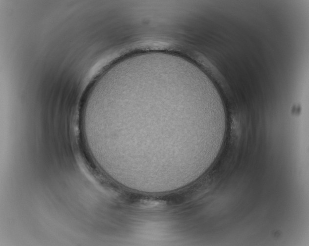 X0000113950582200910232008