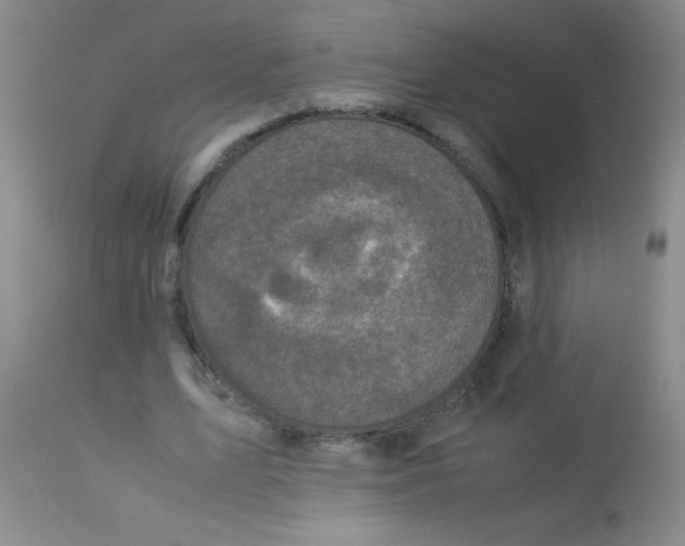 X0000113950583200910232008