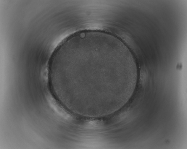 X0000113950584200910232008