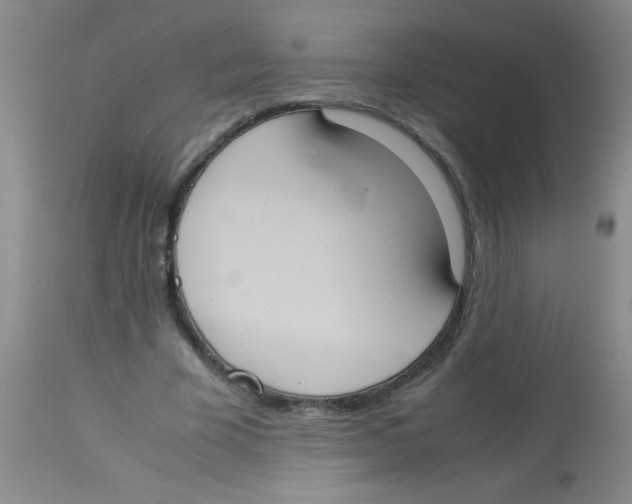 X0000113950585200910232008