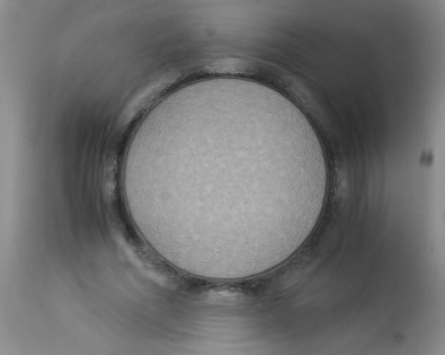 X0000113950586200910232008