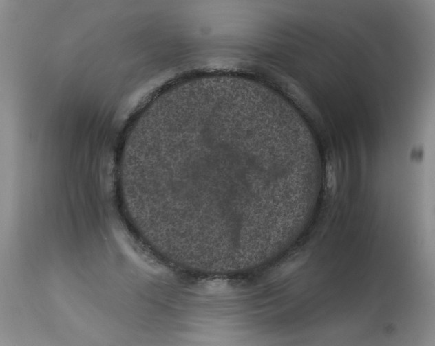 X0000113950588200910232008