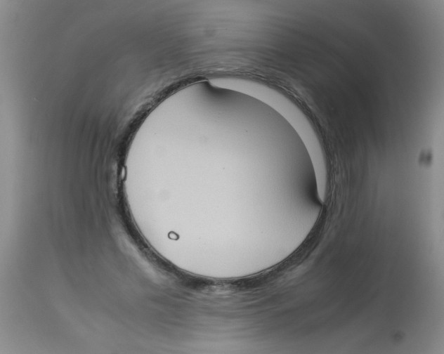 X0000113950589200910232008