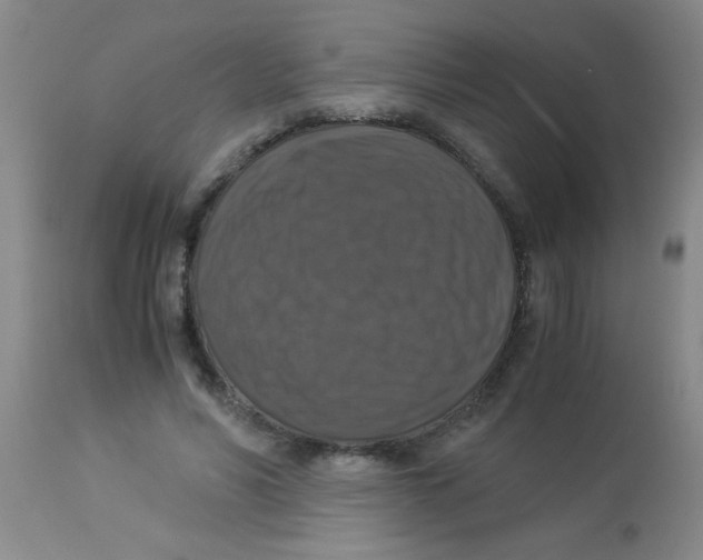 X0000113950590200910232008