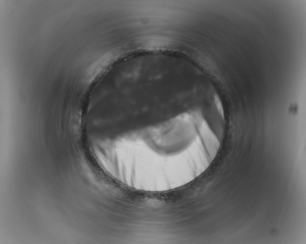 X0000113950592200910232008
