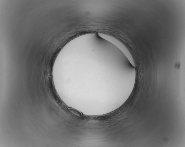 X0000113950593200910232008