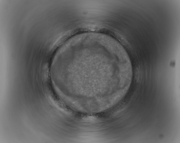 X0000113950594200910232008