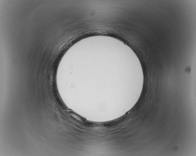 X0000113950595200910232008