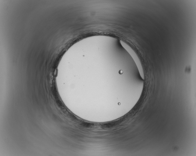 X0000113950597200910232008