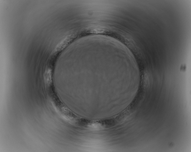 X0000113950598200910232008
