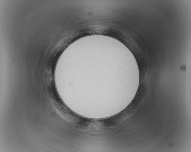 X0000113950599200910232008