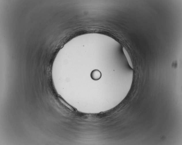 X0000113950601200910232008