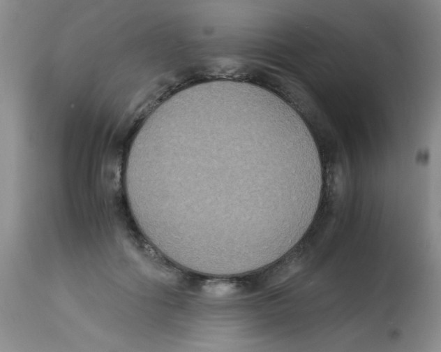 X0000113950602200910232008