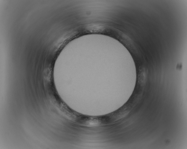 X0000113950604200910232008