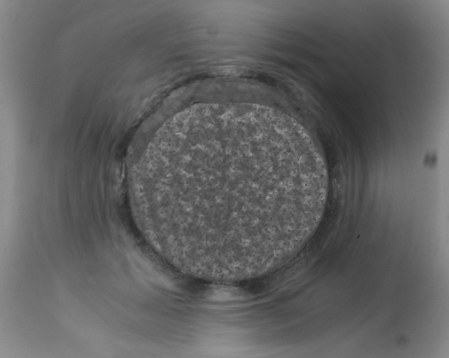 X0000113950605200910232008