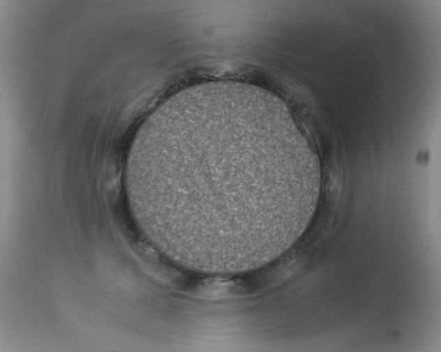 X0000113950607200910232008