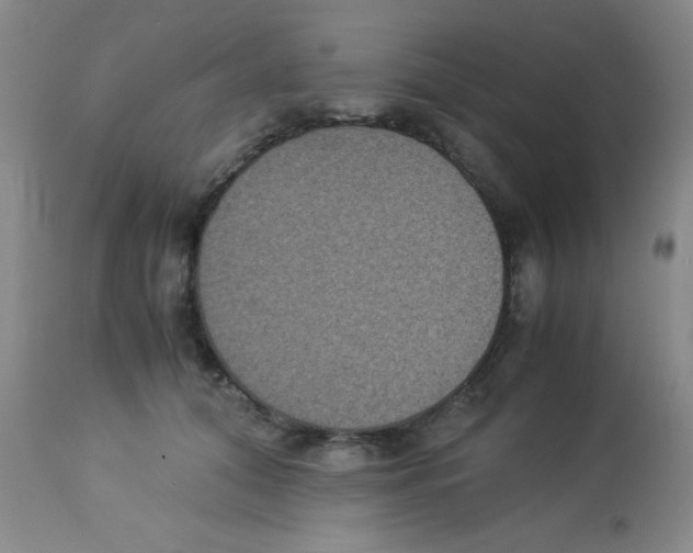 X0000113950608200910232008