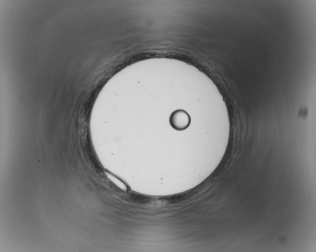 X0000113950609200910232008