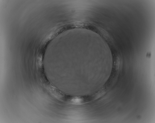 X0000113950610200910232008