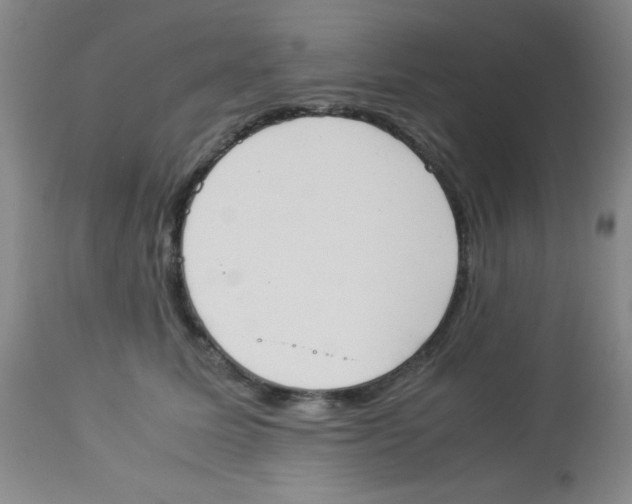 X0000113950611200910232008
