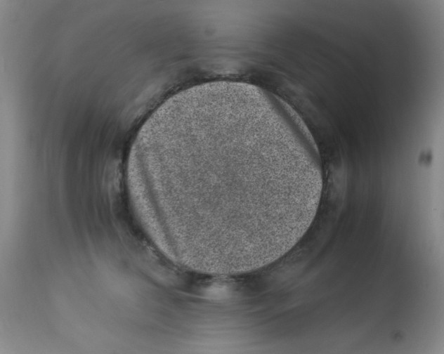 X0000113950612200910232008