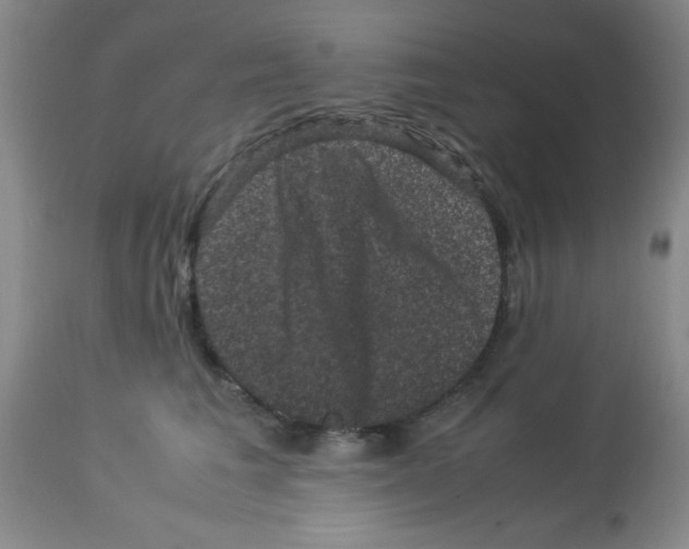 X0000113950613200910232008