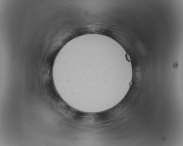 X0000113950615200910232008