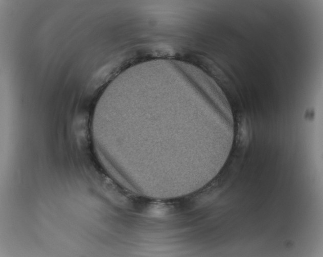 X0000113950616200910232008