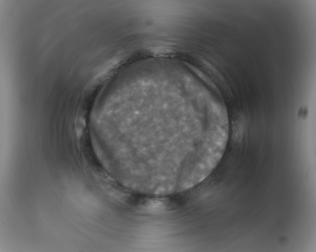 X0000113950618200910232008