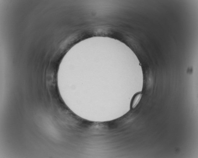 X0000113950619200910232008