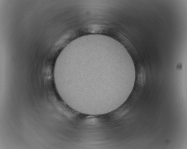 X0000113950620200910232008