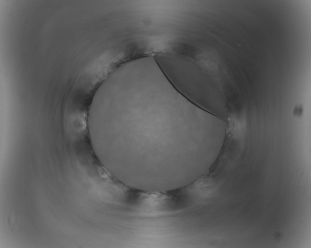 X0000113950621200910232008