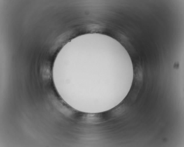 X0000113950622200910232008