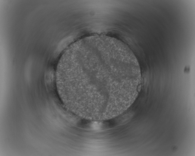 X0000113950623200910232008