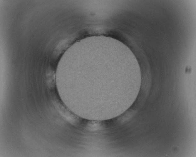 X0000113950624200910232008