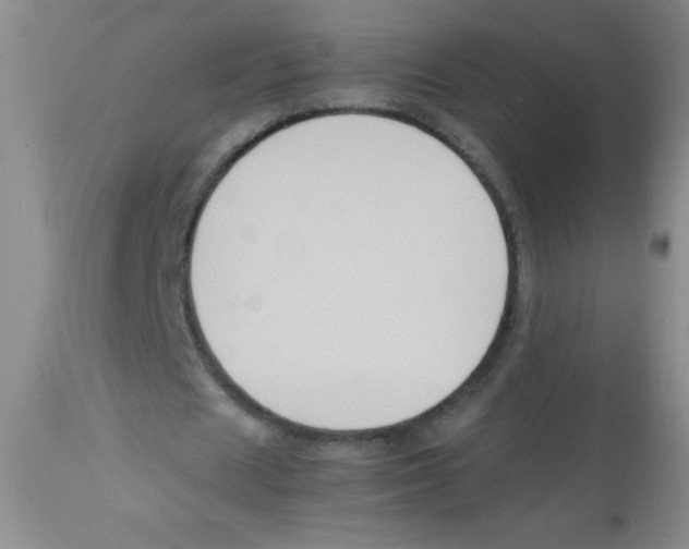 X0000113950625200910232007