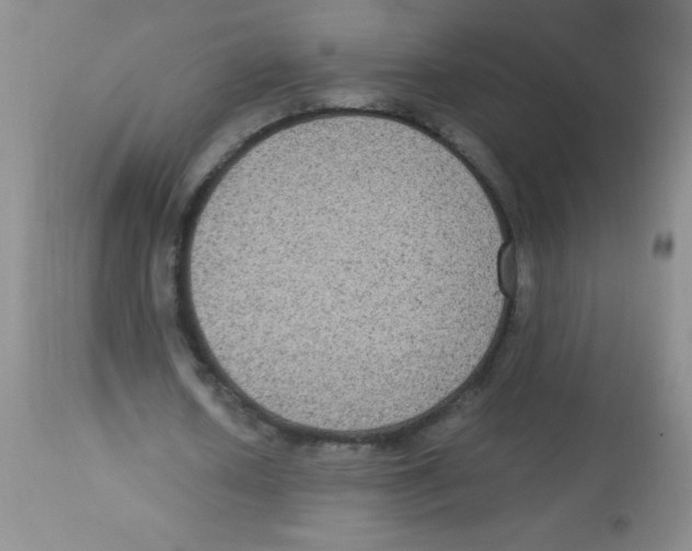 X0000113950626200910232007