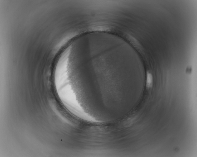 X0000113950627200910232007