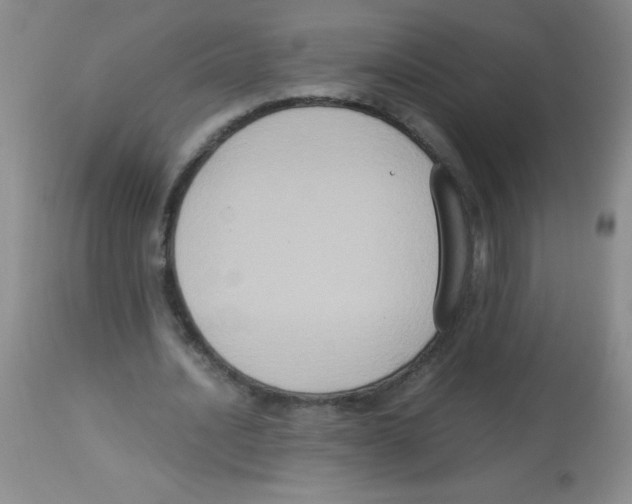 X0000113950628200910232007
