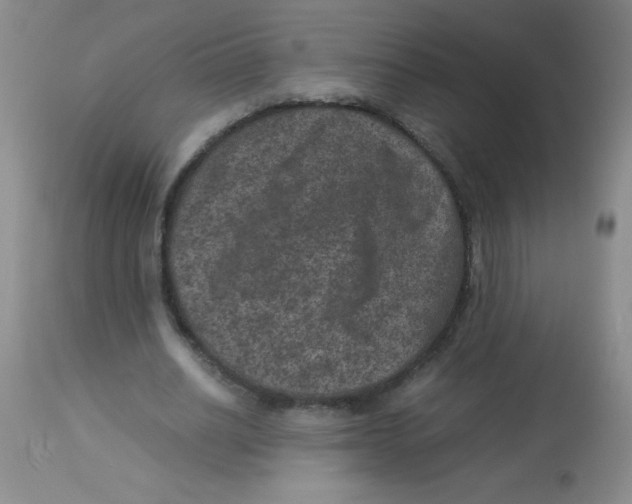 X0000113950630200910232007